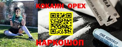 гашик Кандалакша