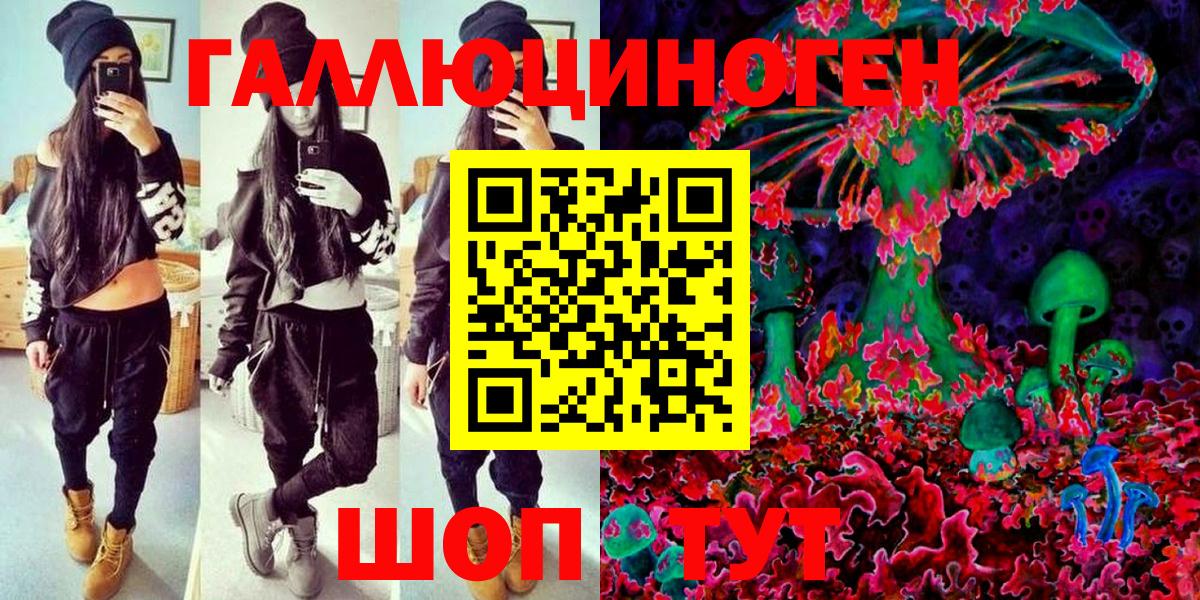 Псилоцибиновые грибы Psilocybine cubensis Ейск