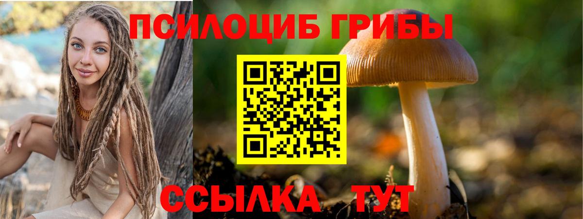 Ейск  Псилоцибиновые грибы Magic Shrooms  Вход с VPN 